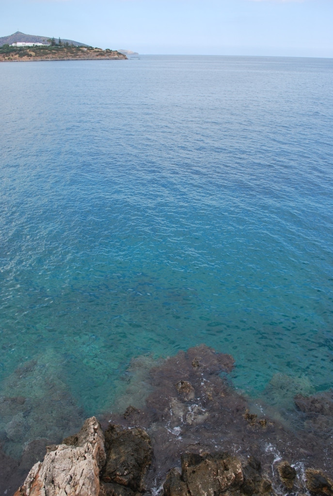 DSC_0715.JPG
