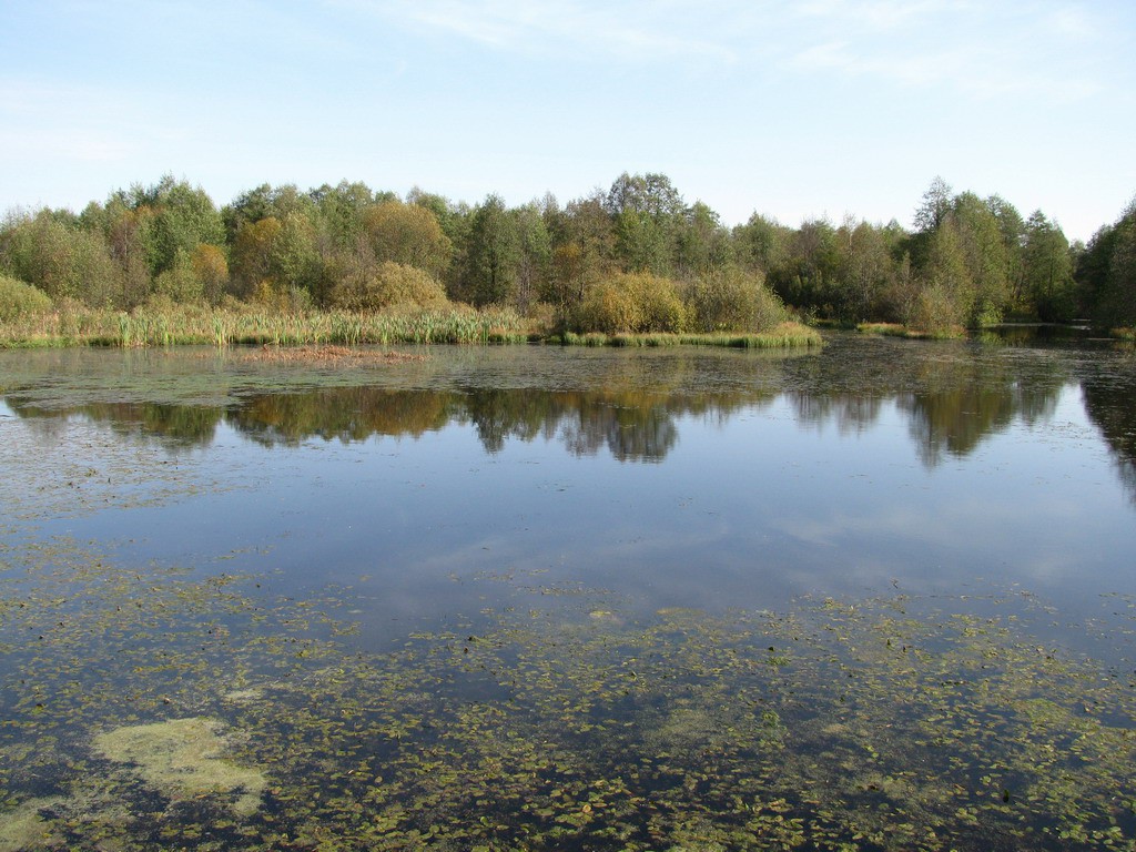 MG_5788.jpg