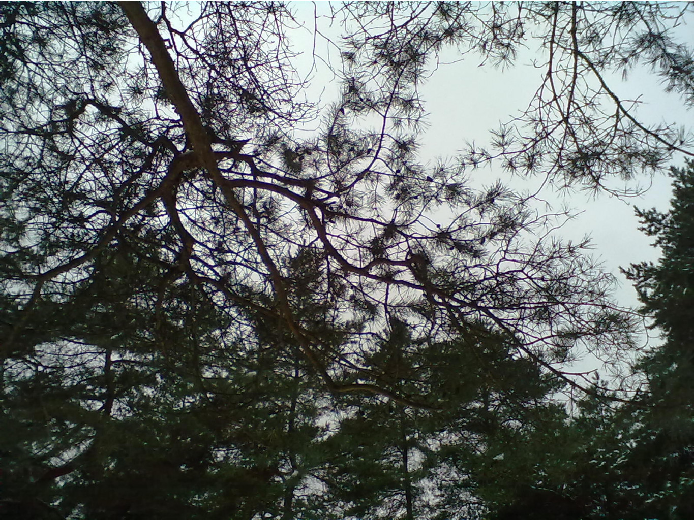 121120112920.jpg