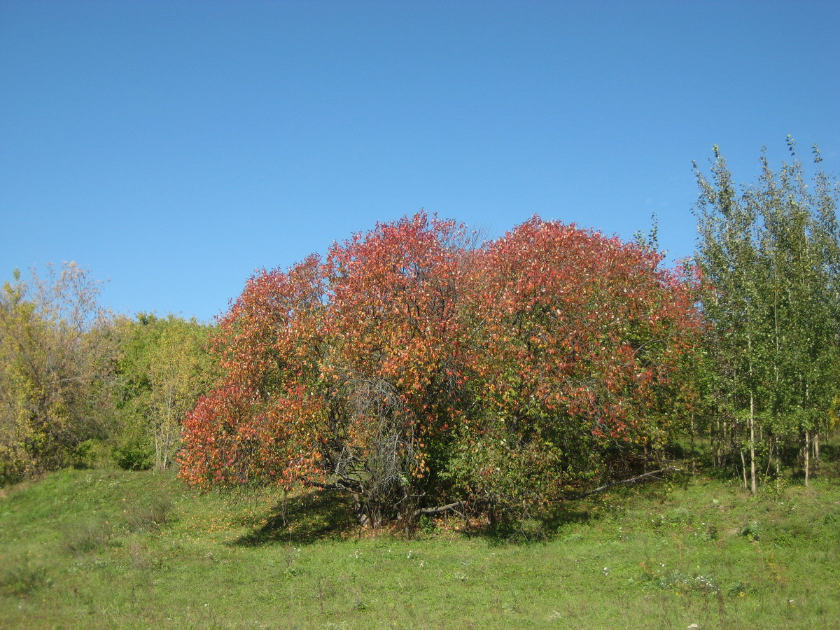 IMG_1639.JPG