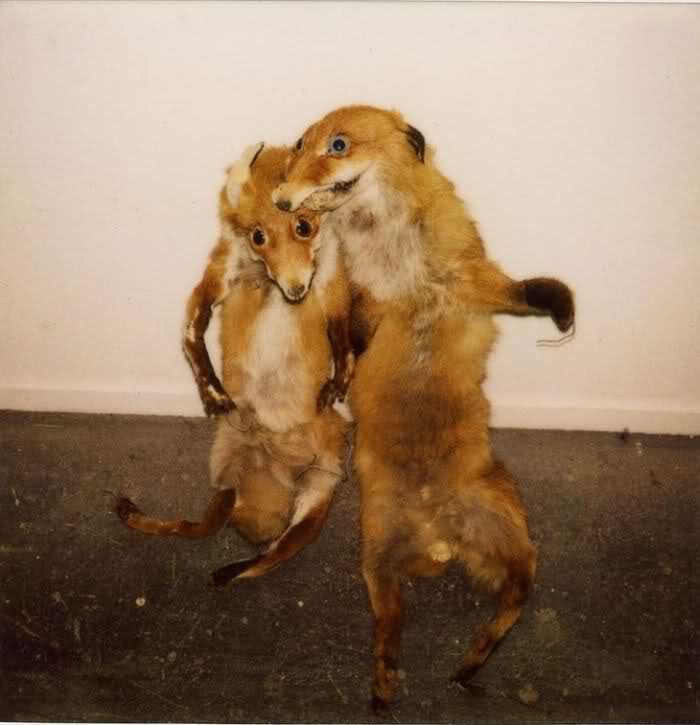 Bad_taxidermy_3.jpg