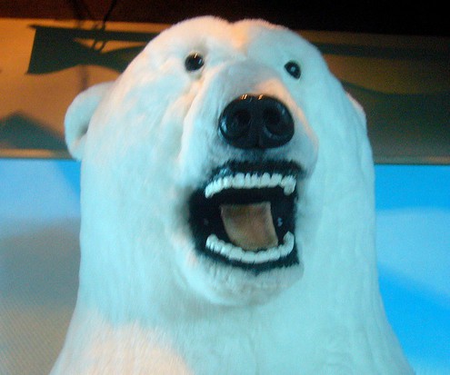 Taxidermy_bear.jpg