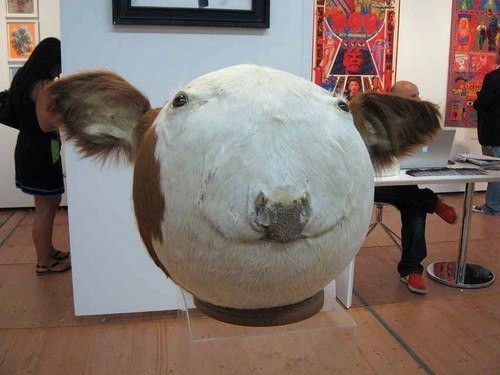 Taxidermy4.jpg
