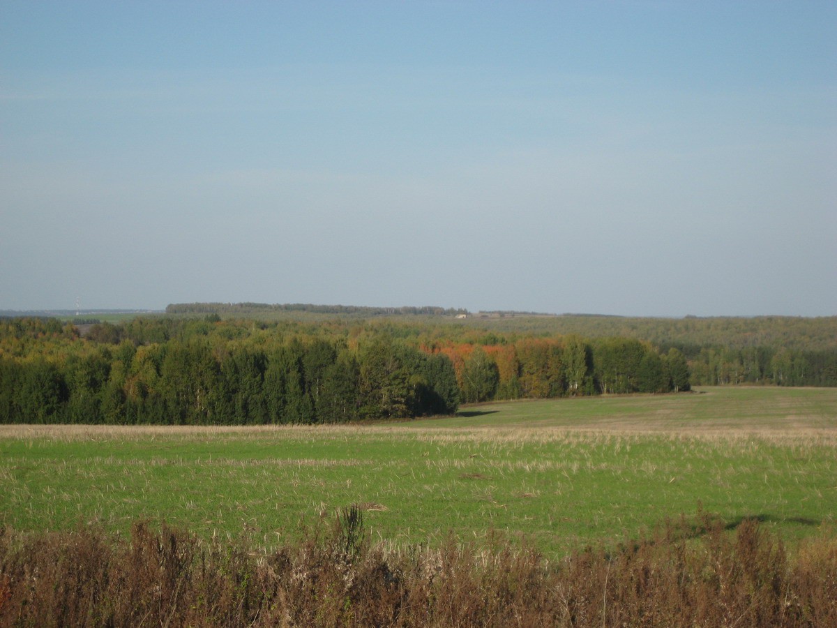 IMG_1771.JPG