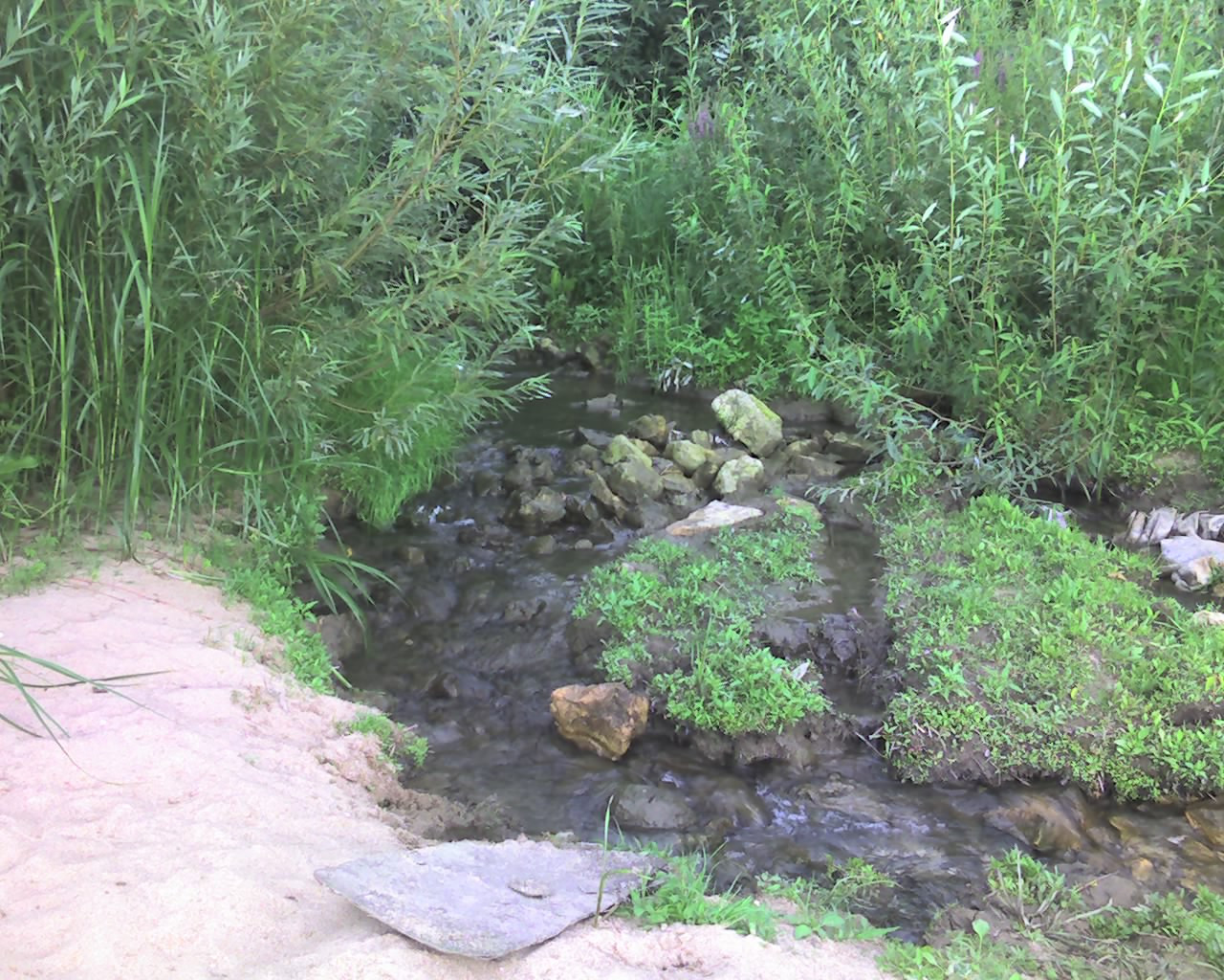 18.08.2010 12:07:14