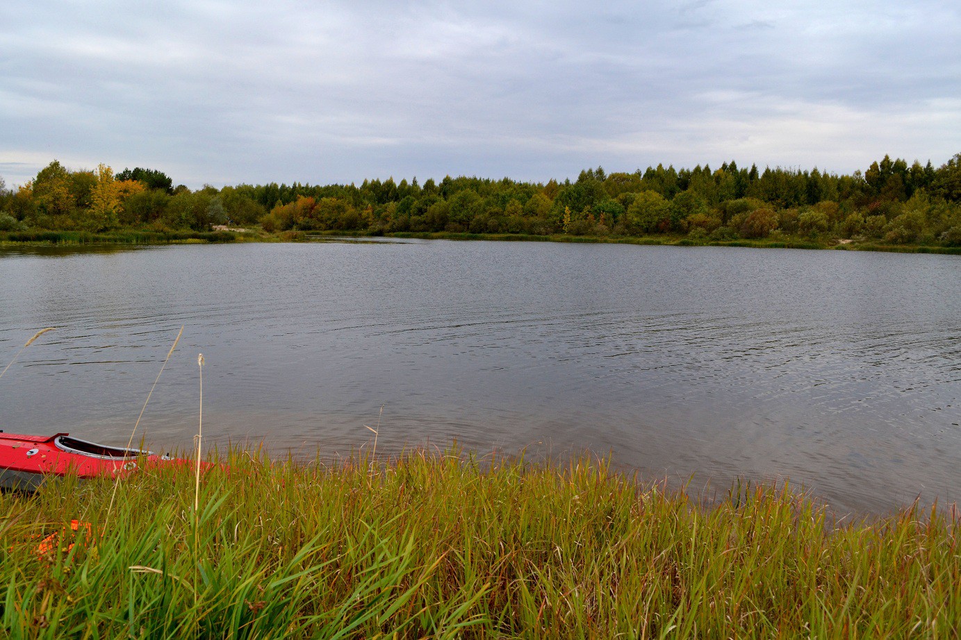 DSC_0237.JPG