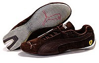 puma_102_8_mid 2400.jpg