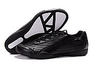 puma_118_5_mid 2400.jpg