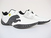 puma_1313_2_mid 2400.jpg