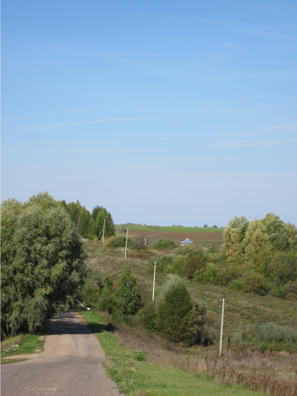 IMG_0753.jpg