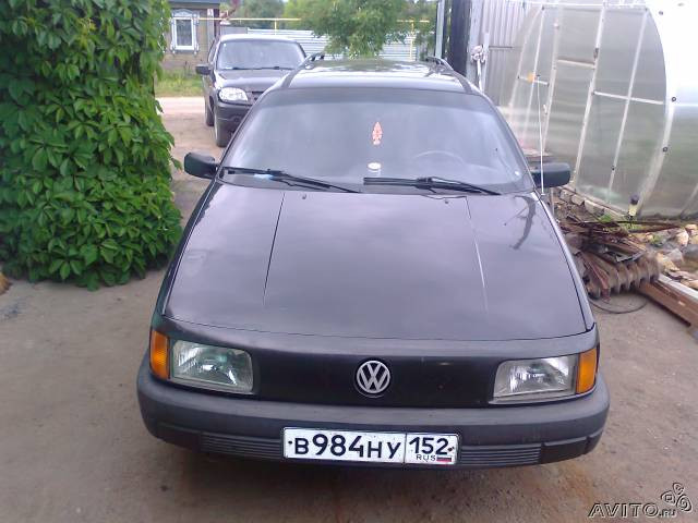 55094430.jpg