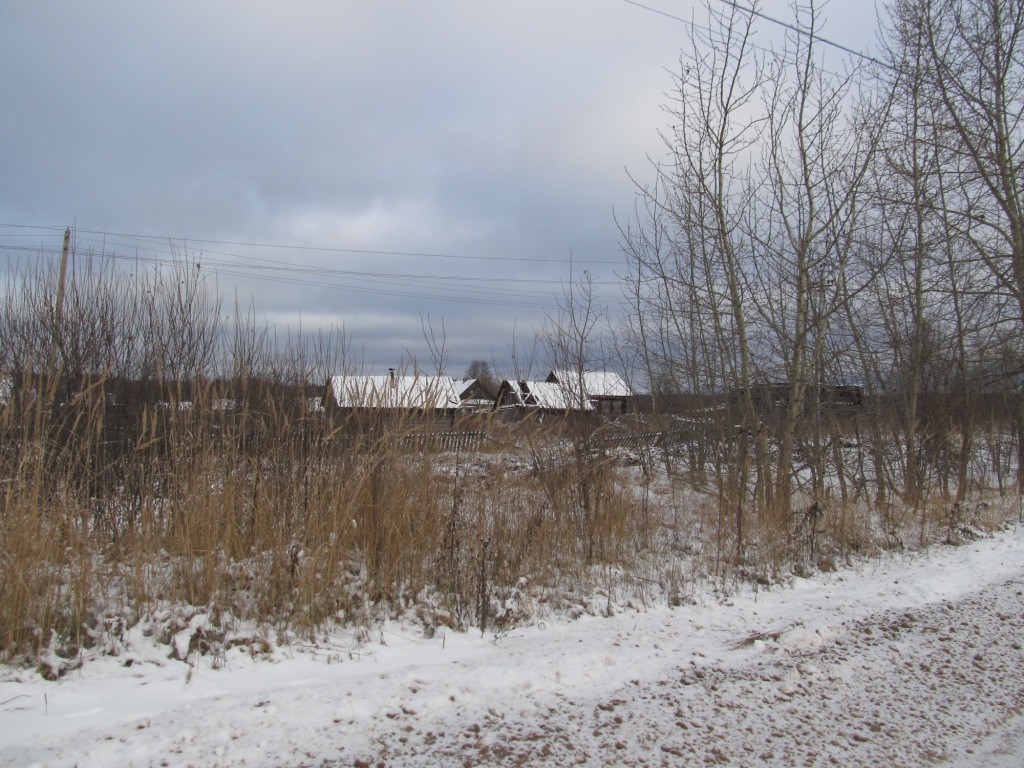  186.jpg
