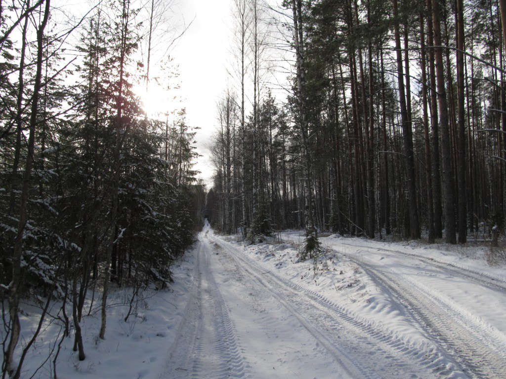  196.jpg