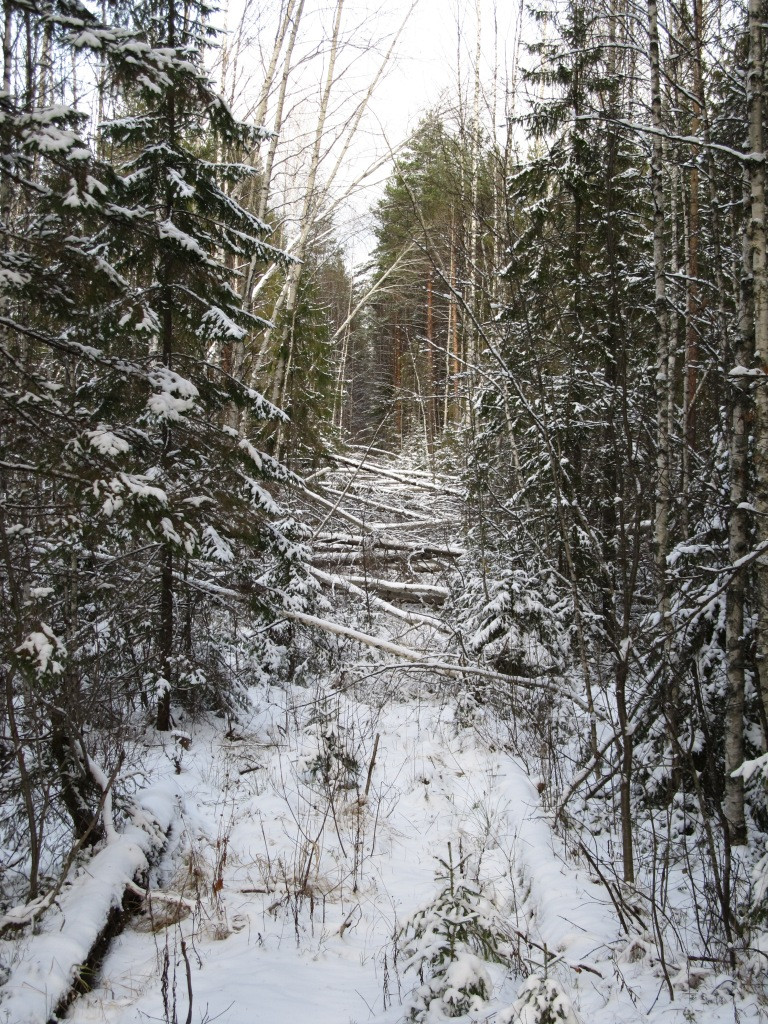  212.jpg