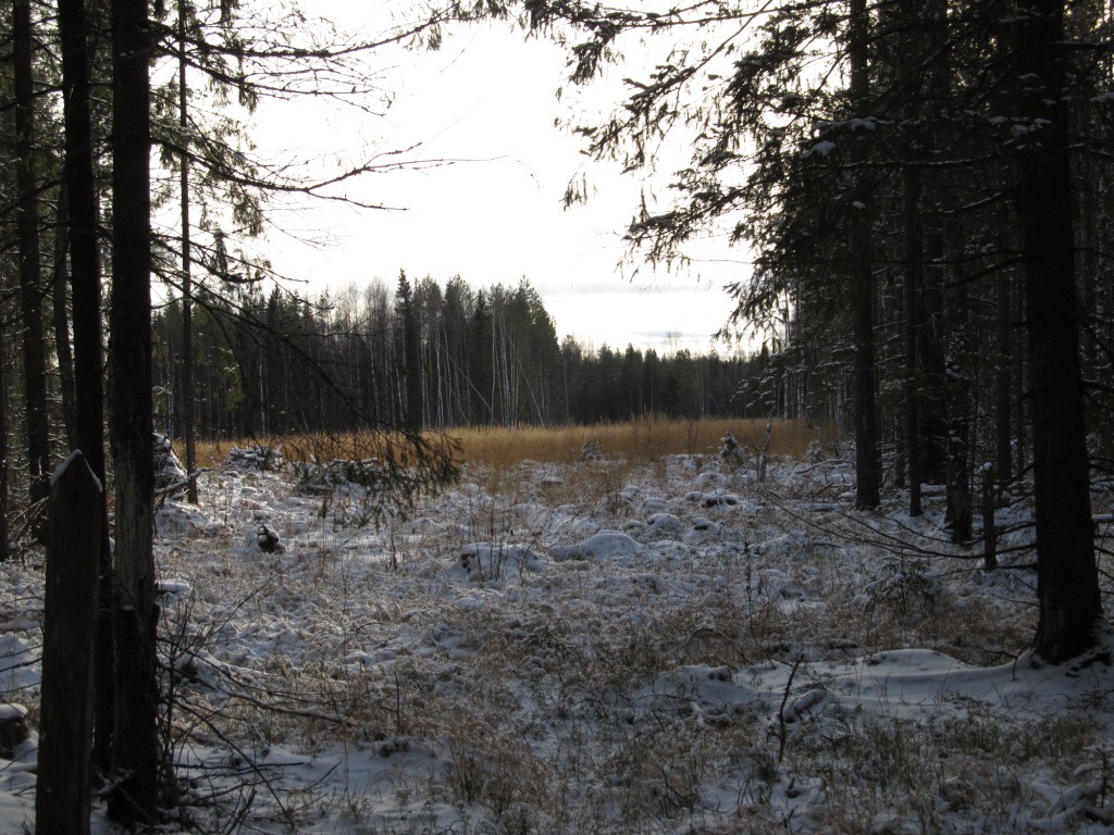  220.jpg