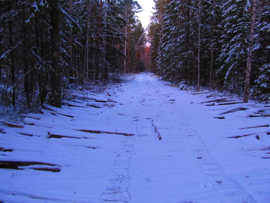  259.jpg