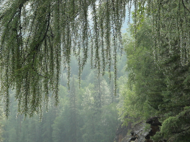 23.08.2010 10:36:28