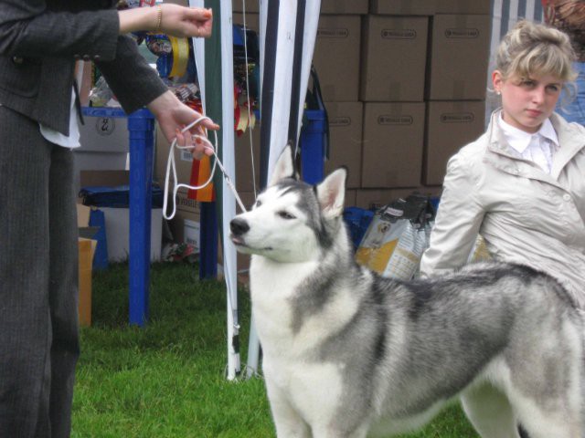 23.08.2010 21:18:26