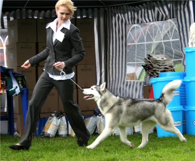 23.08.2010 21:25:38