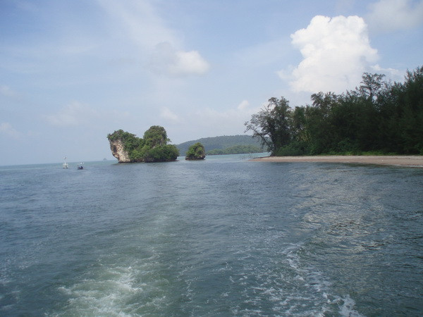 P5140070 (2).JPG