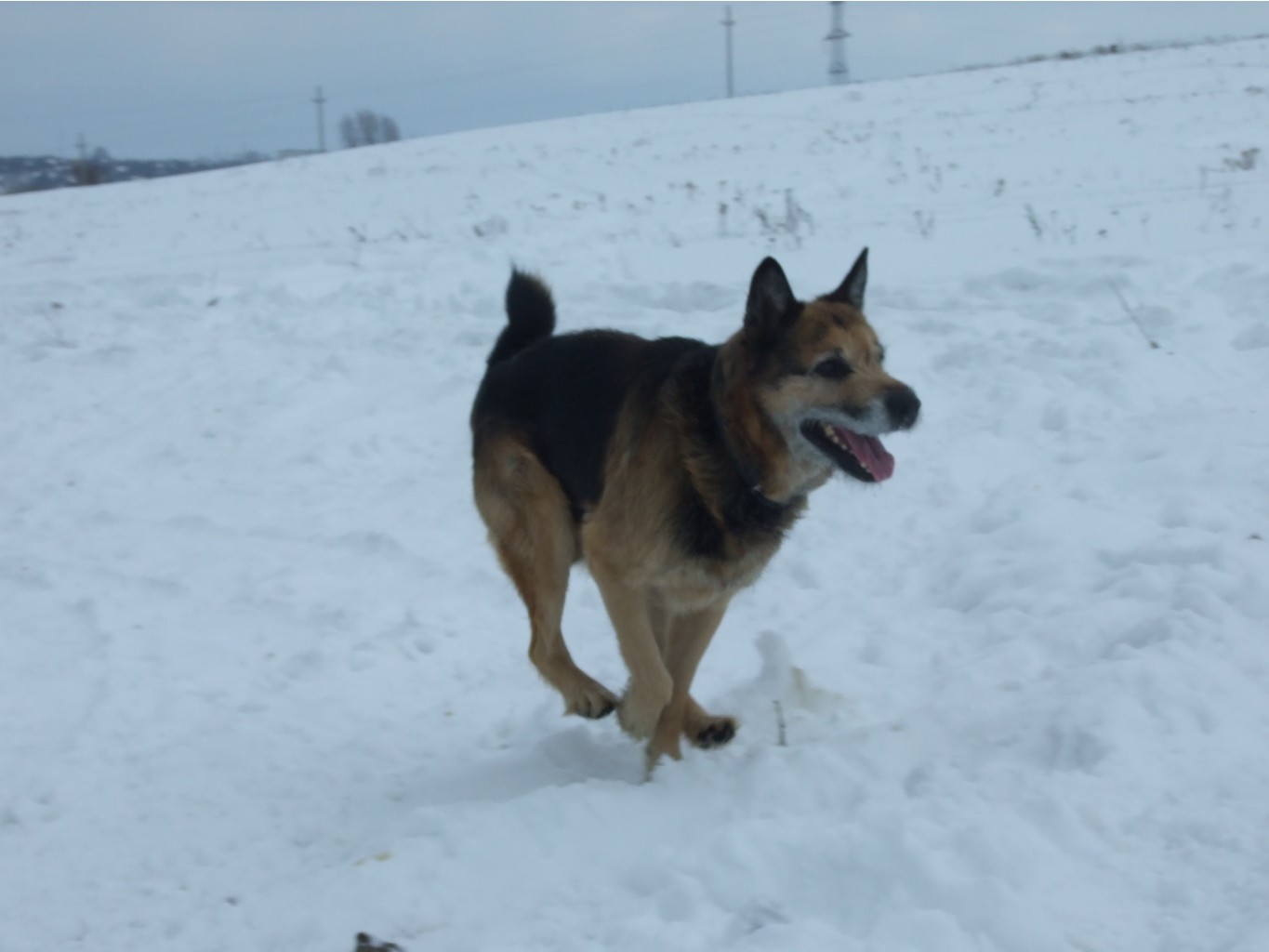DSCF9701.JPG
