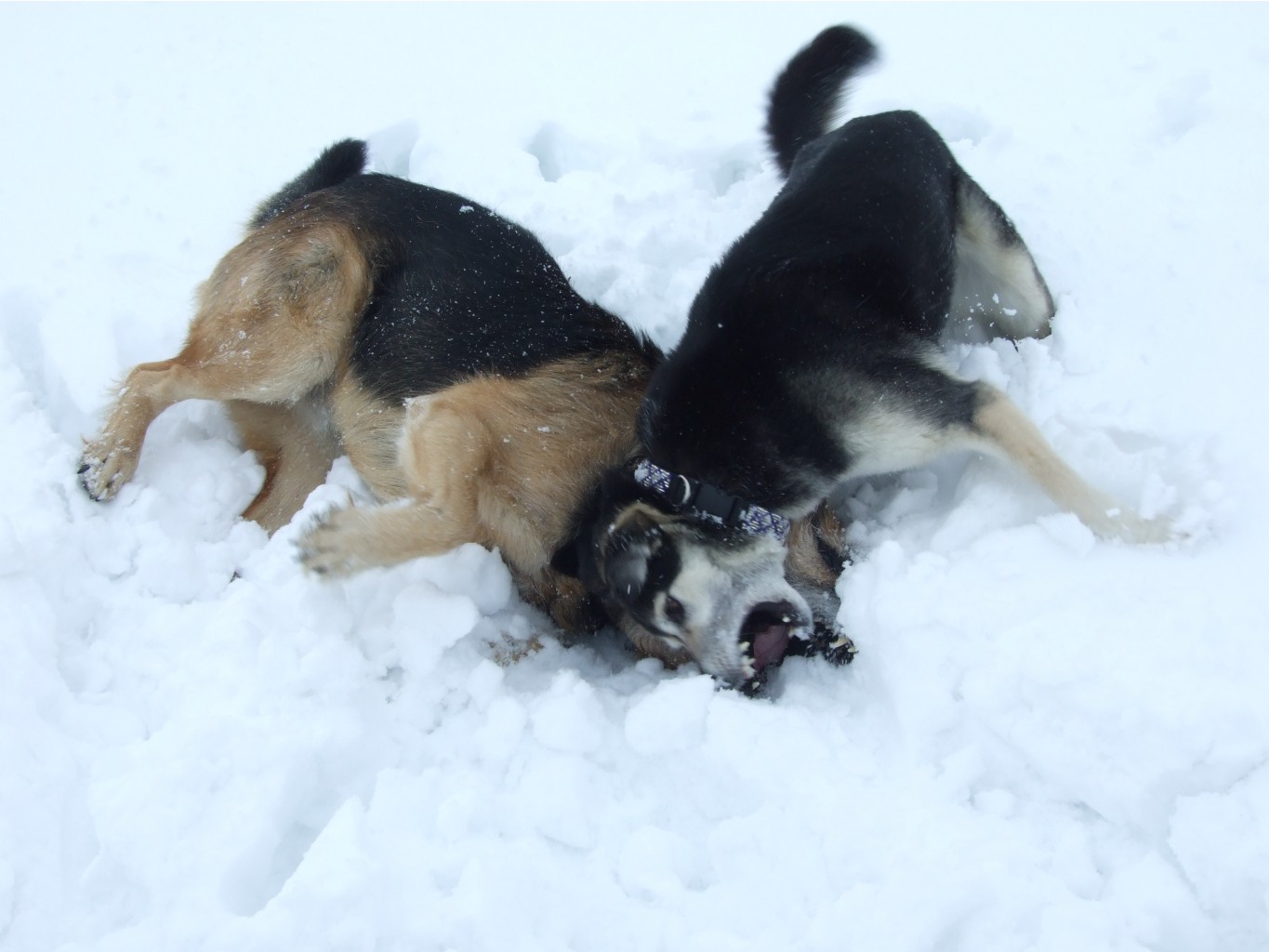 DSCF9712.JPG