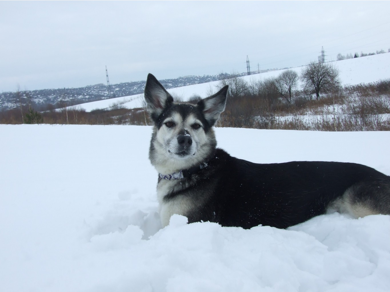 DSCF9718.JPG