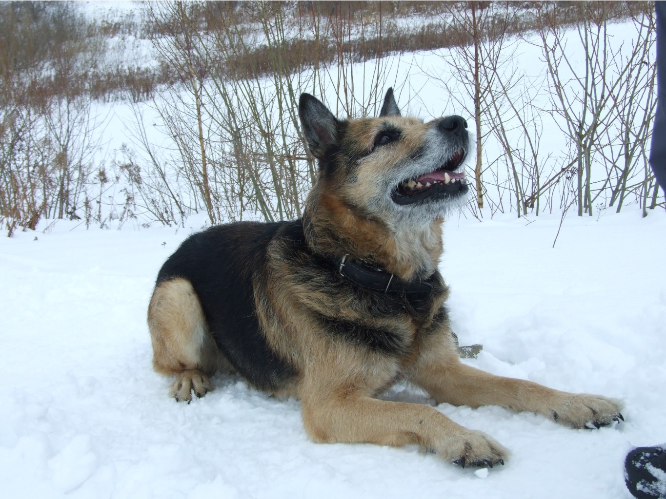 DSCF9745.JPG