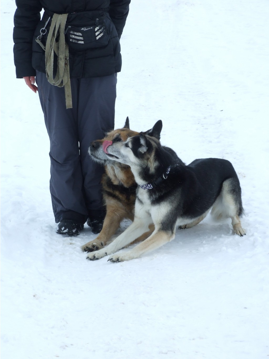 DSCF9770.JPG