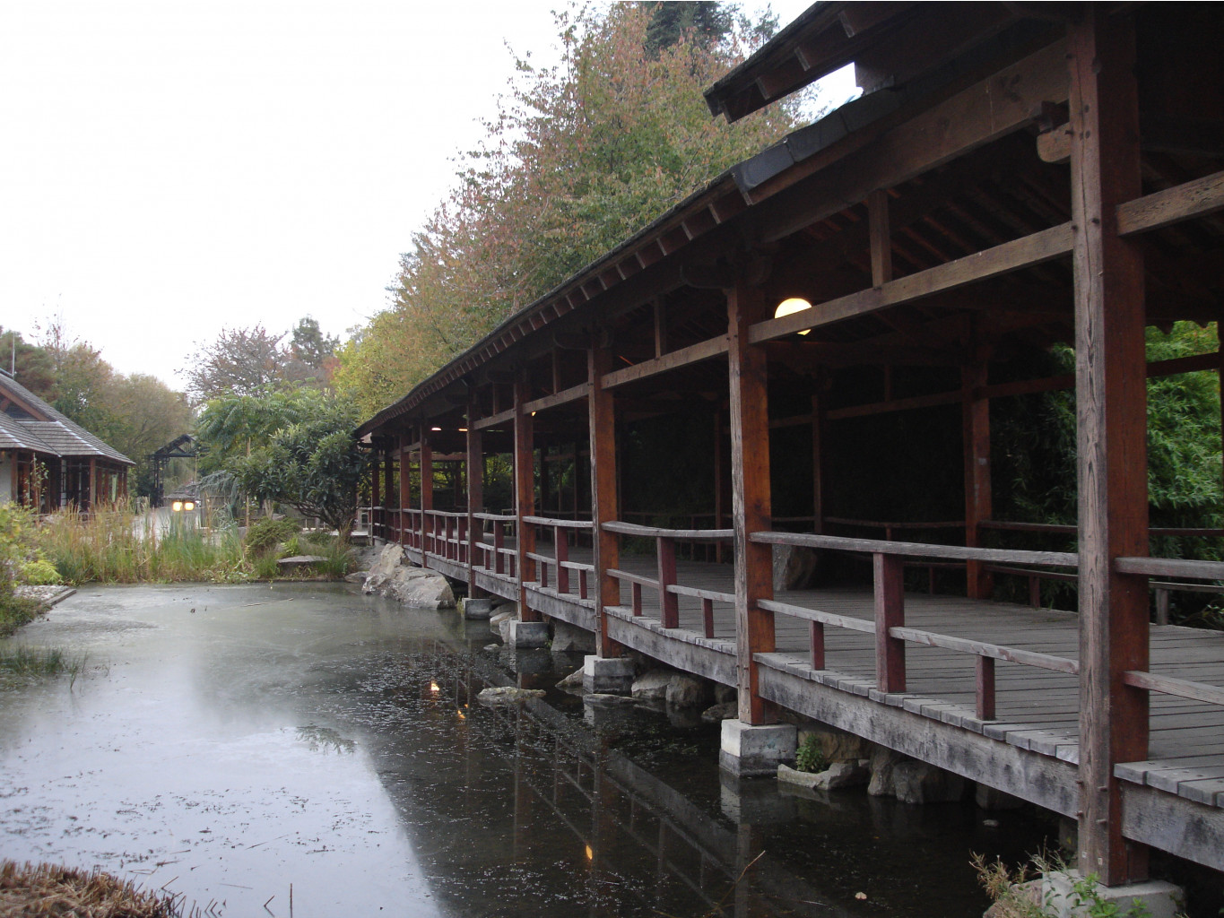 08.01.2009 15:19:36