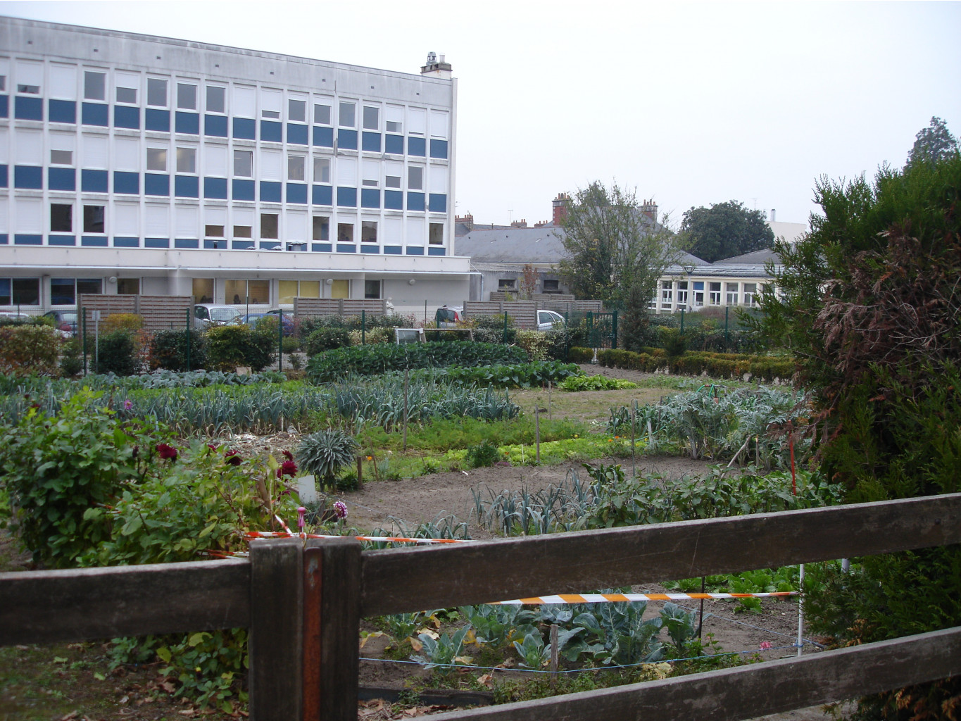 08.01.2009 15:21:07