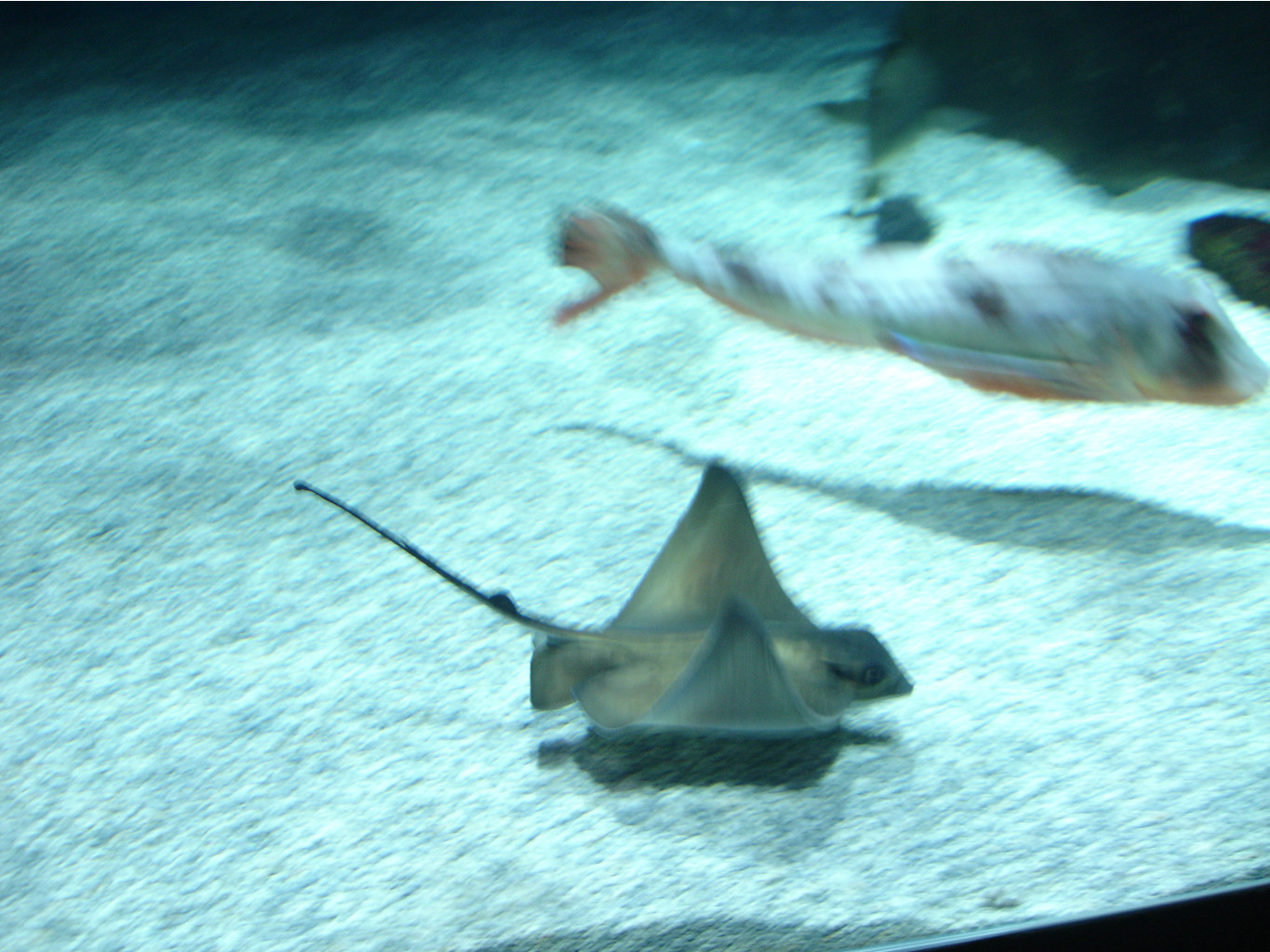 08.01.2009 15:24:29