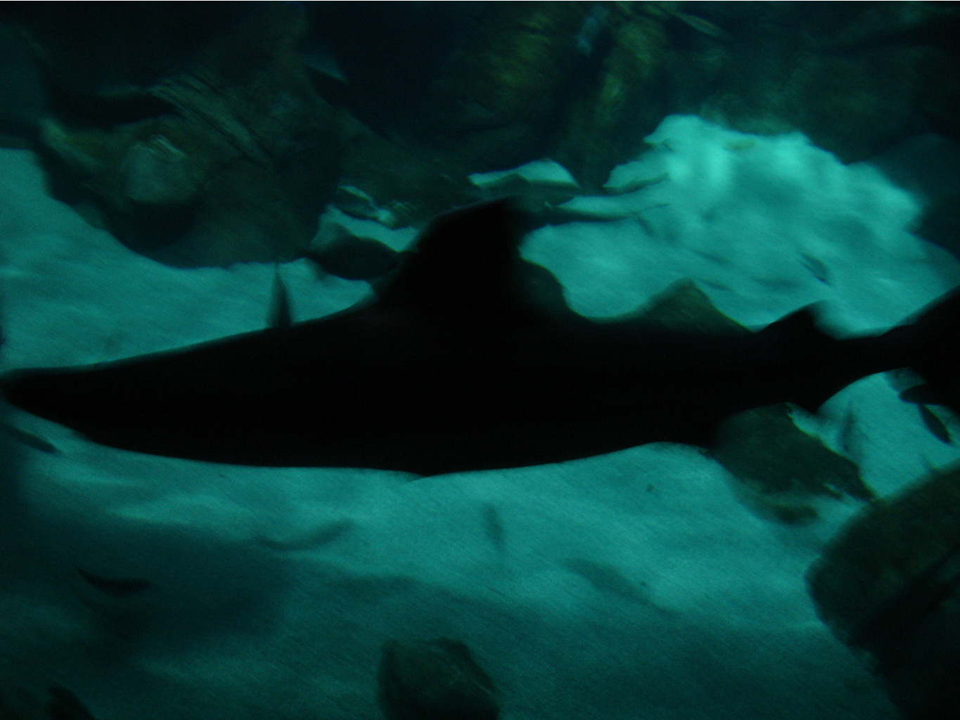 08.01.2009 15:25:06