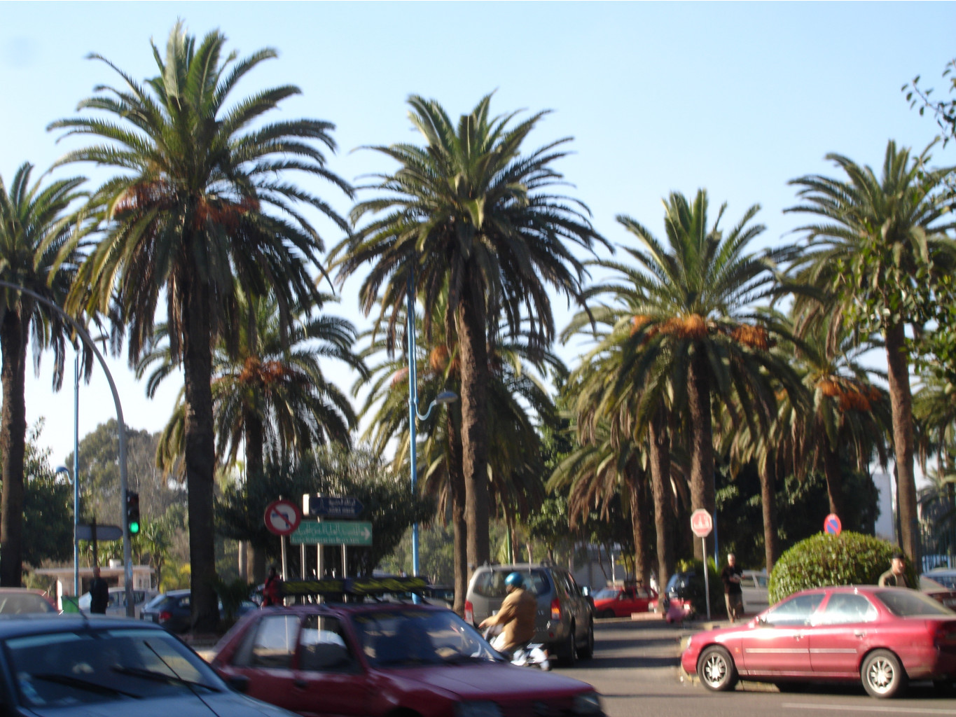 08.01.2009 15:31:17