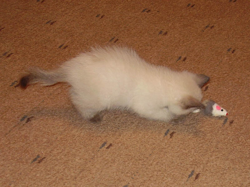 09.01.2009 17:50:04