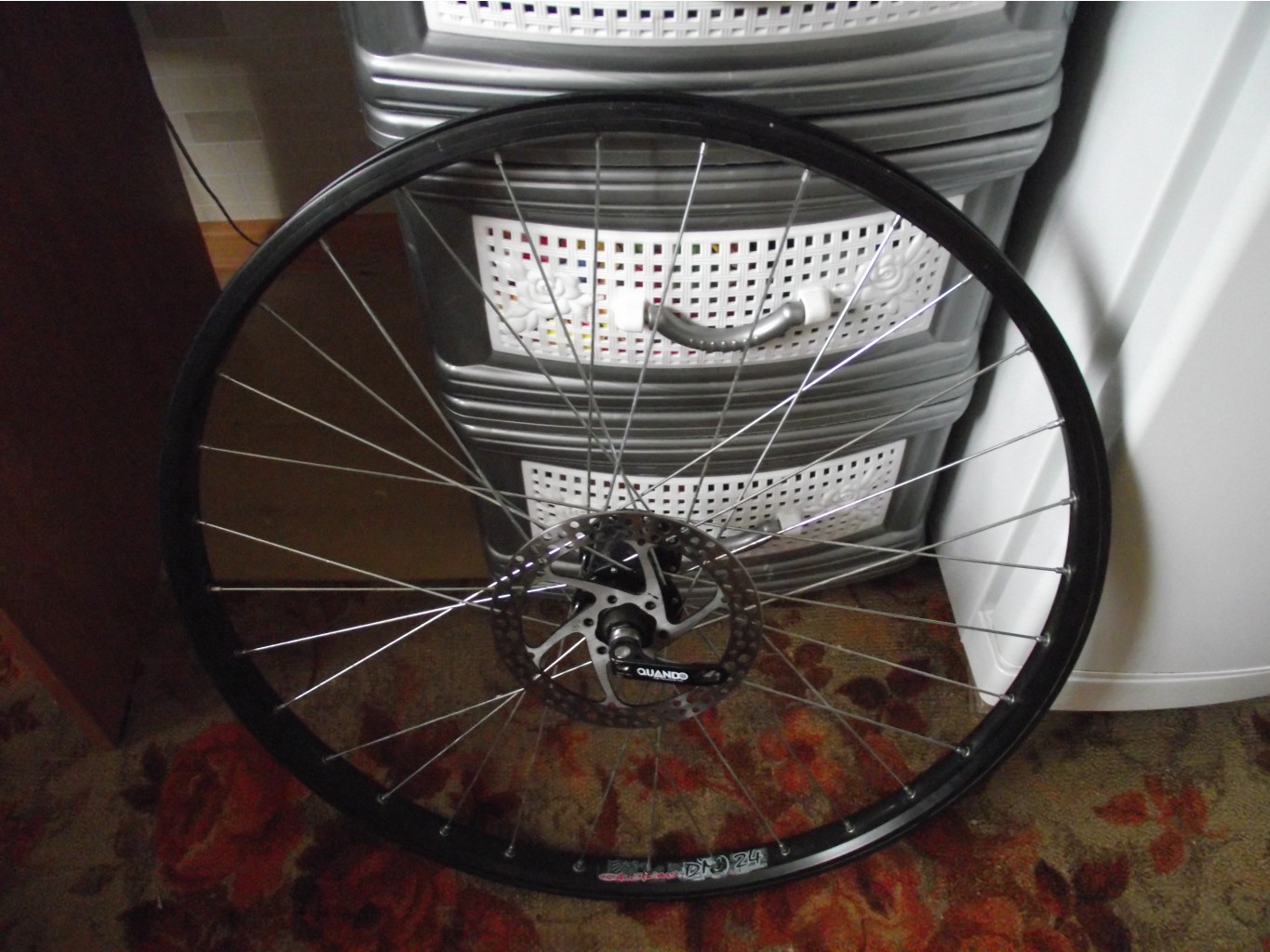 DSCF6273.JPG