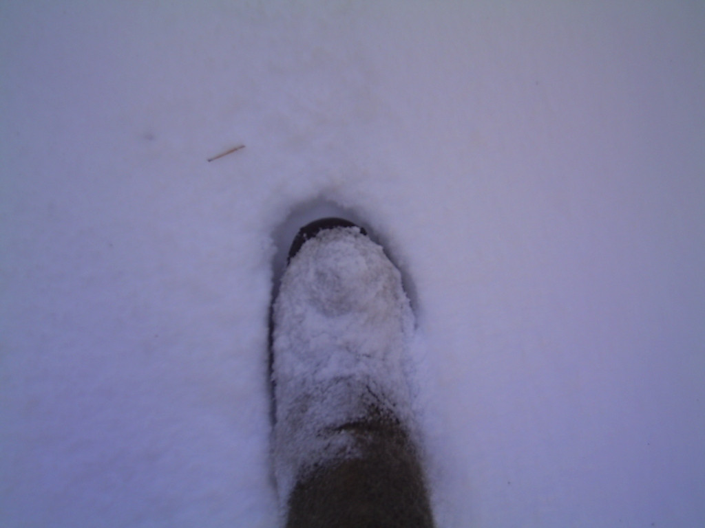 PICT0062.JPG