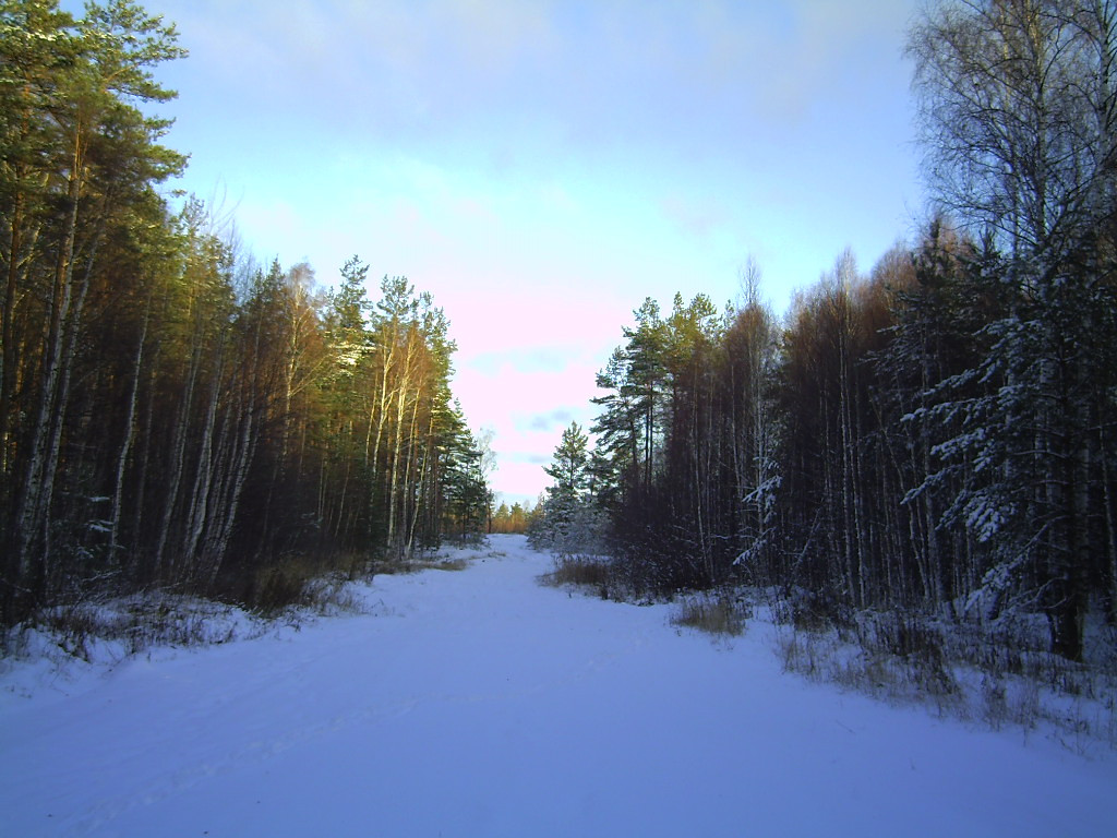 PICT0063.JPG