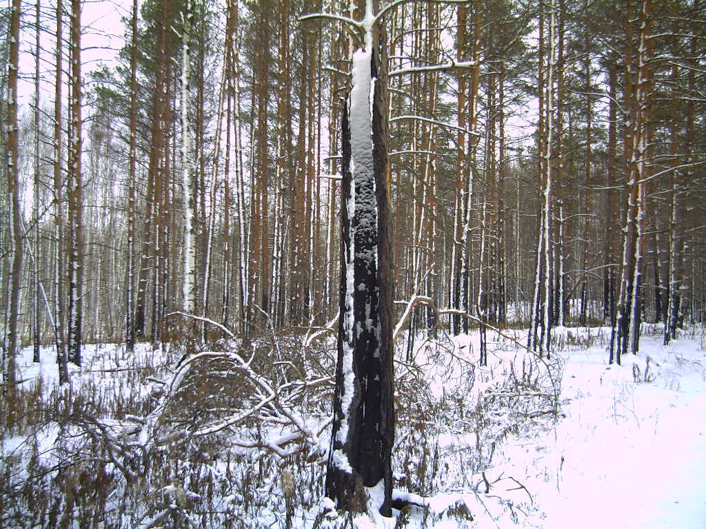 PICT0109.JPG