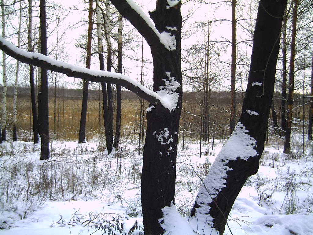 PICT0120.JPG