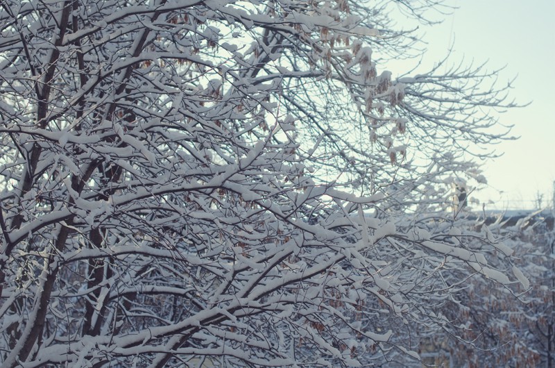 DSC_8938.jpg