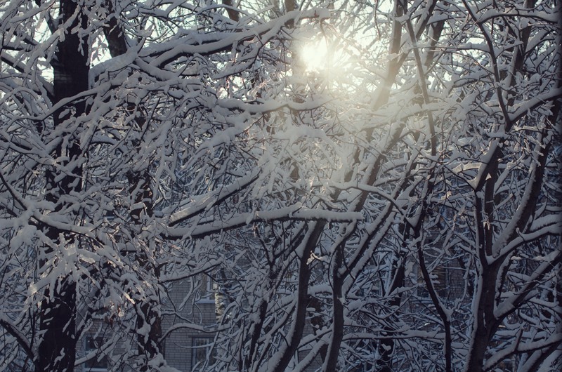 DSC_8943.jpg