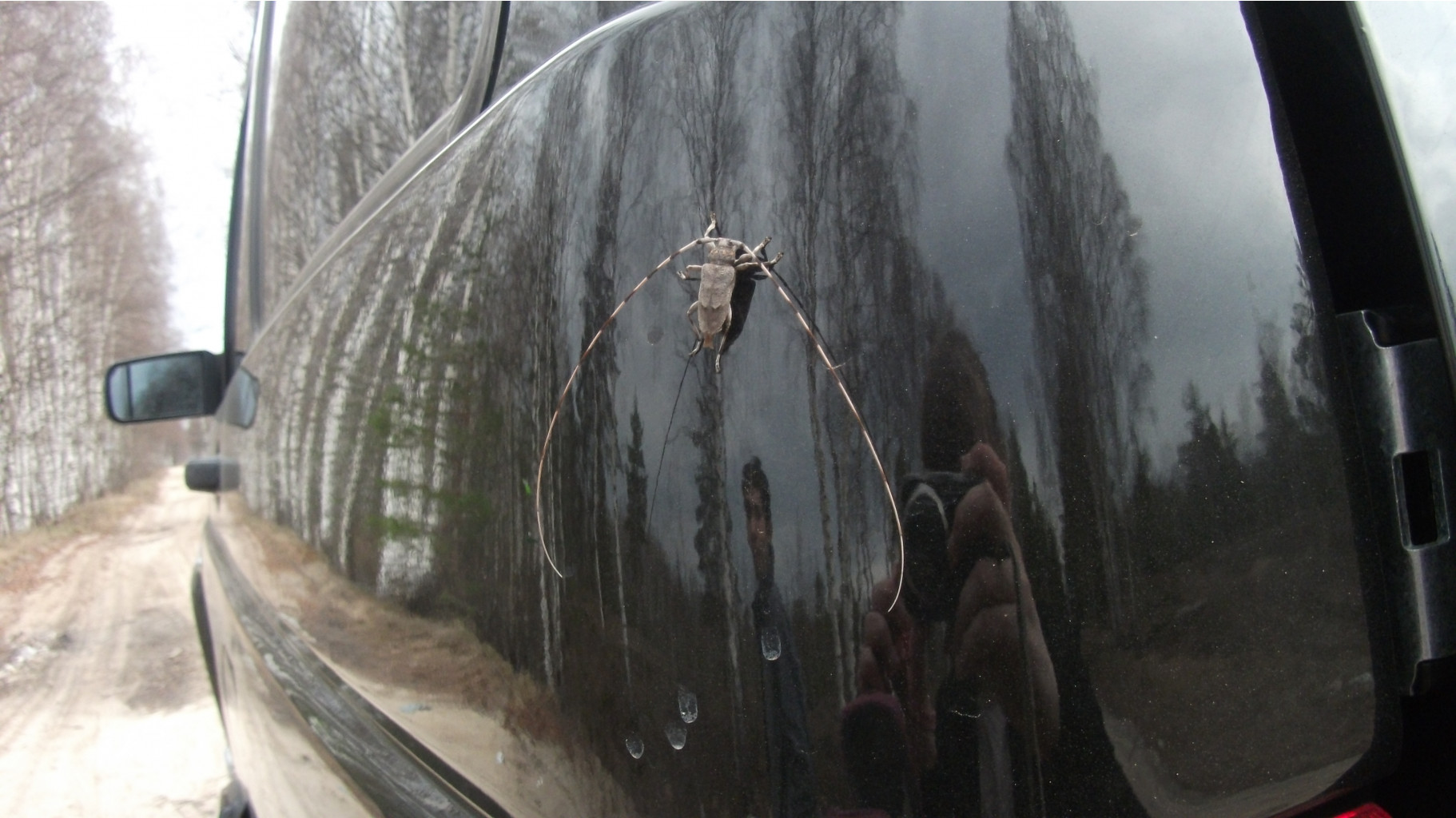DSCF0678.JPG