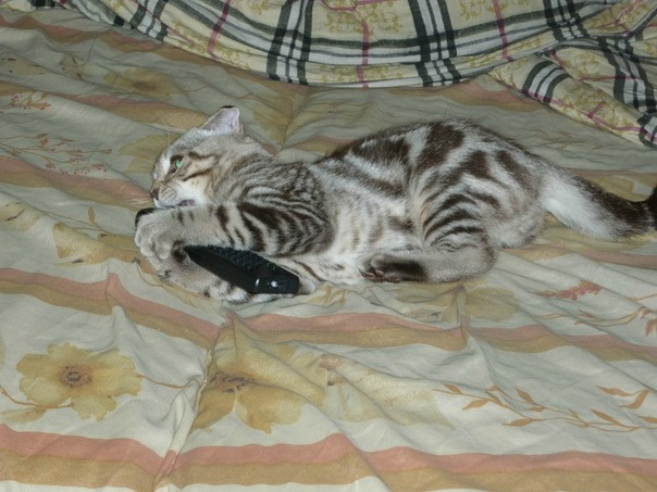 x_a40c8202.jpg