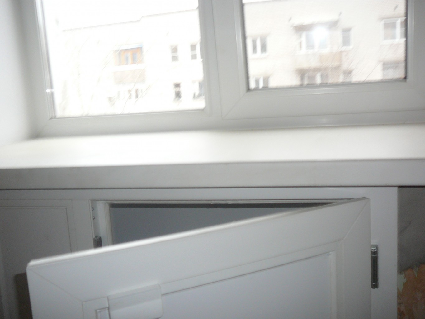 P1110844.JPG