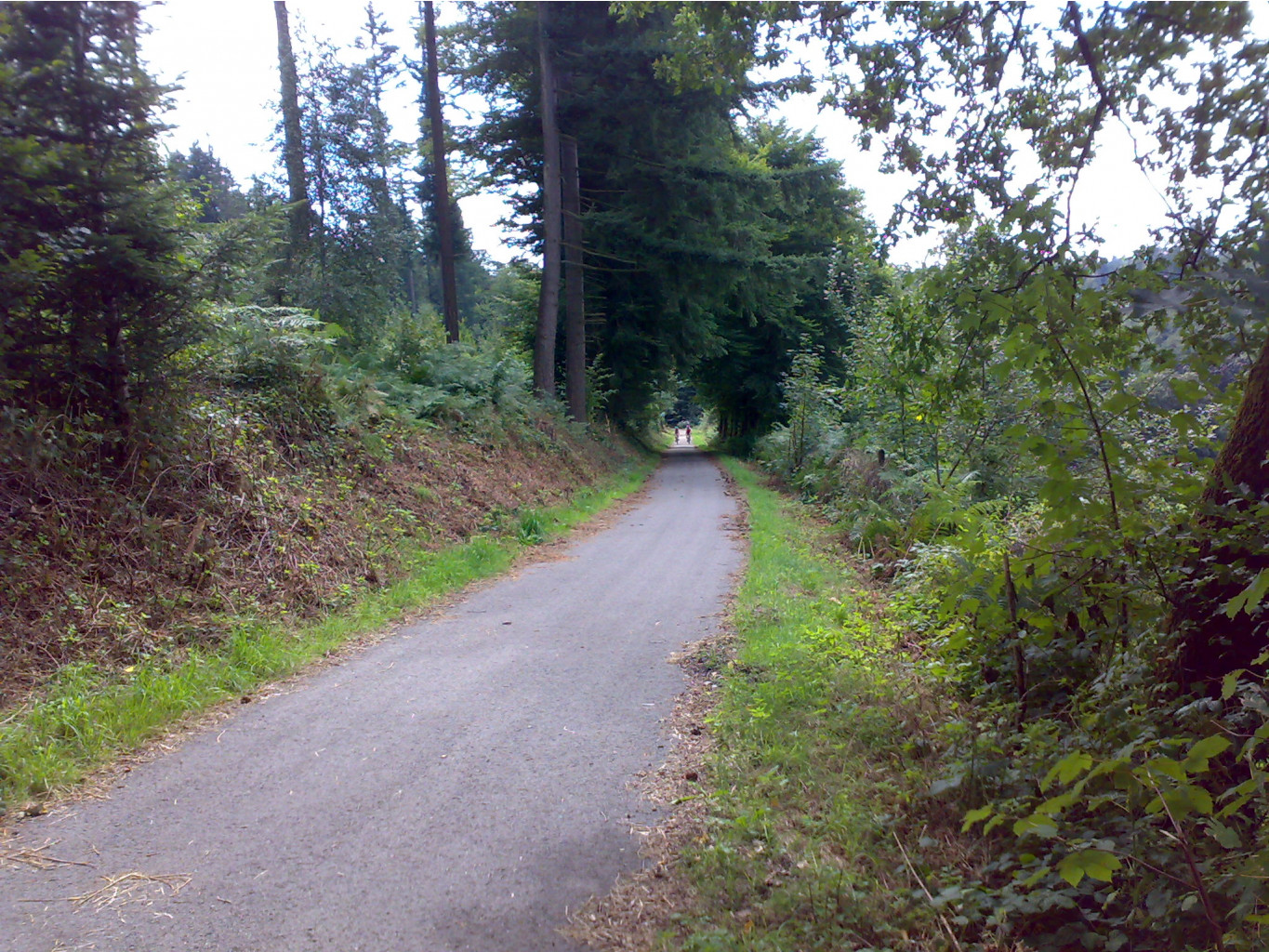 26.08.2010 16:44:03
