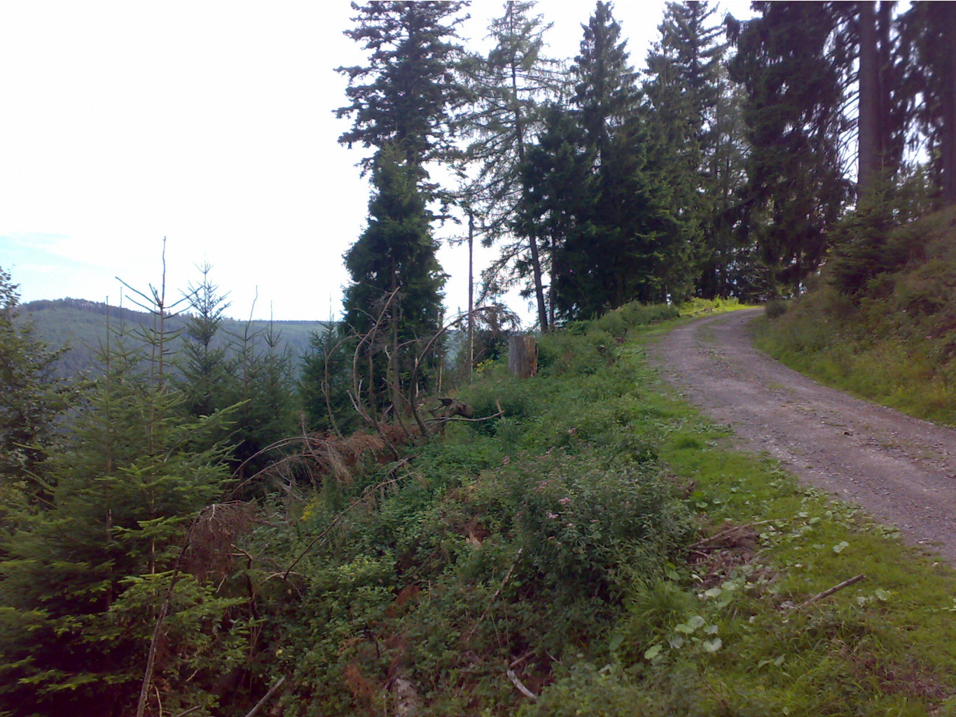 26.08.2010 16:45:12