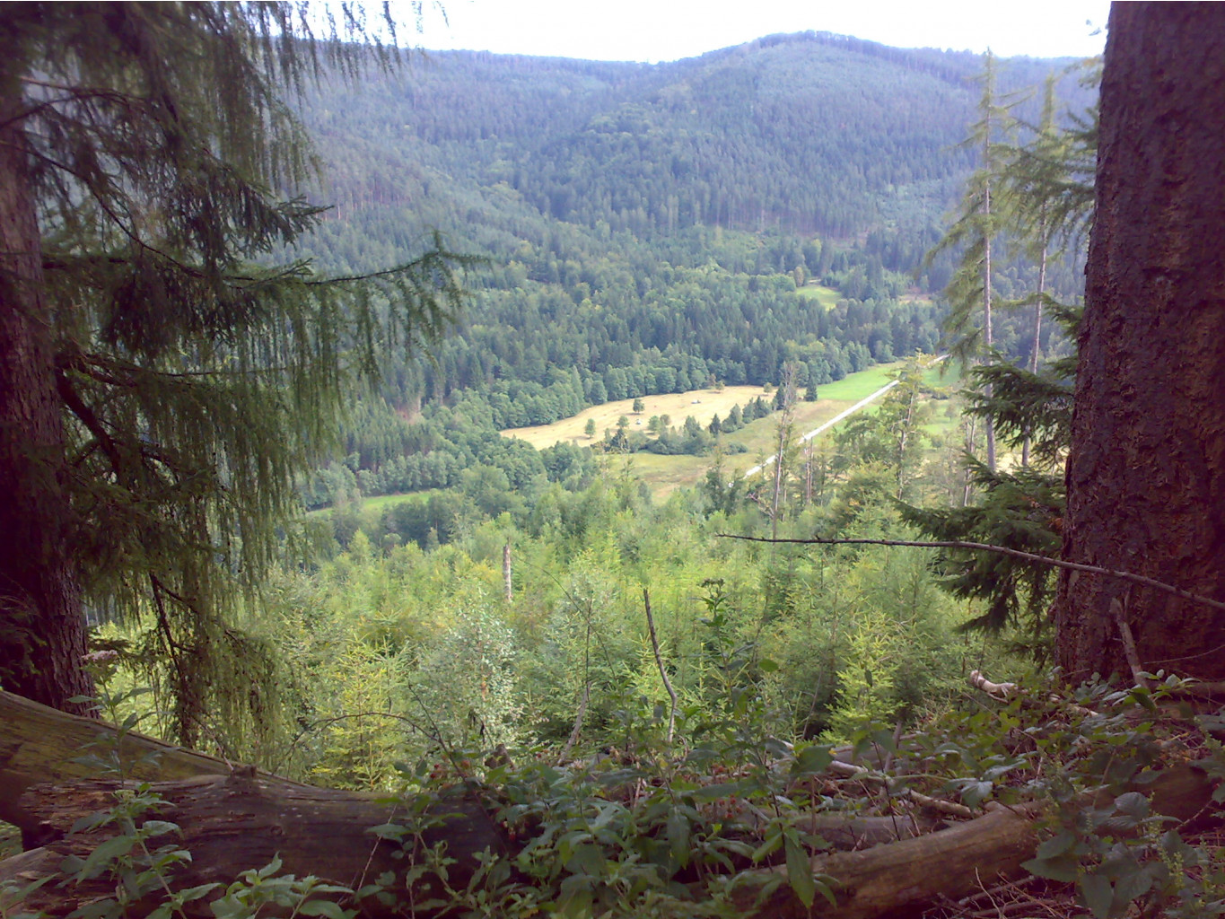26.08.2010 16:45:25
