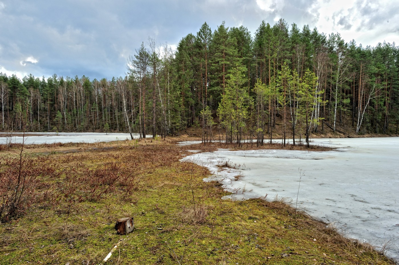 DSC_6274_010.JPG