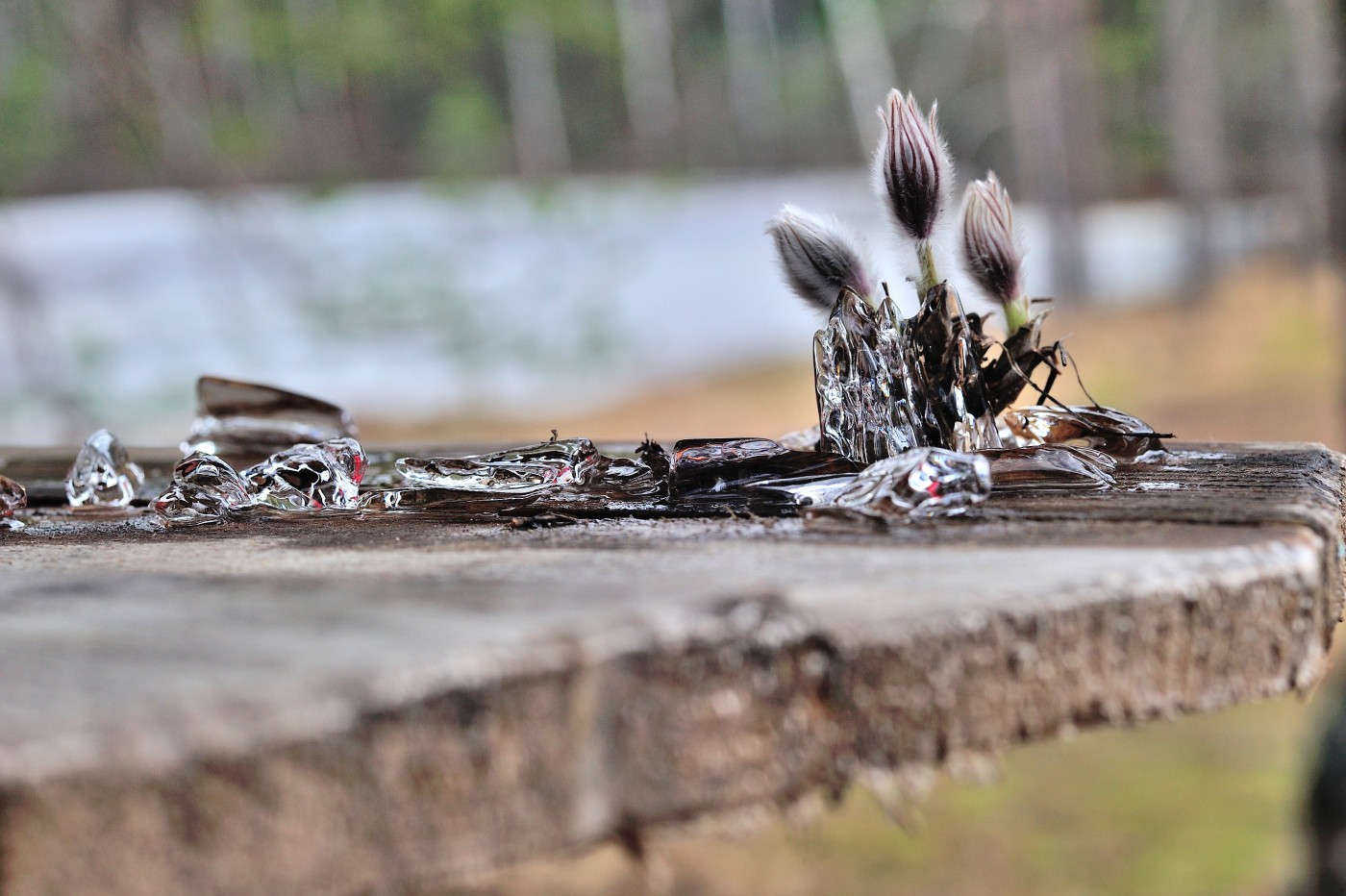DSC_6288_018.JPG